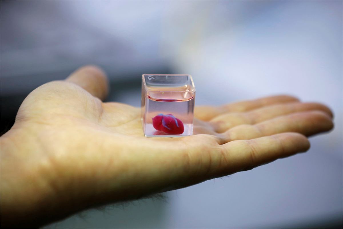 A small 3D-printed heart in a transparent cube of culture medium, held in an open palm
