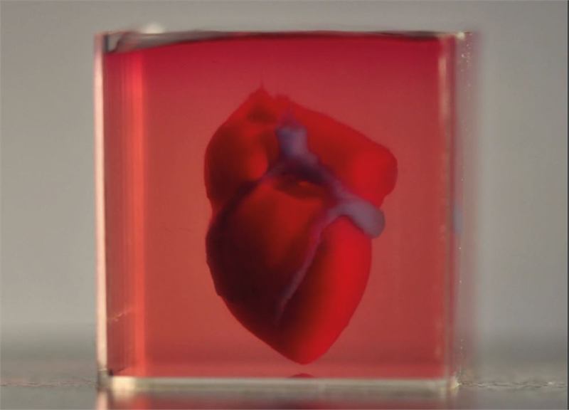 A small 3D-printed heart suspended in a transparent cube of culture medium